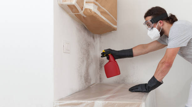 Professional Commercial Mold Remediation technician working in Westbury, NY